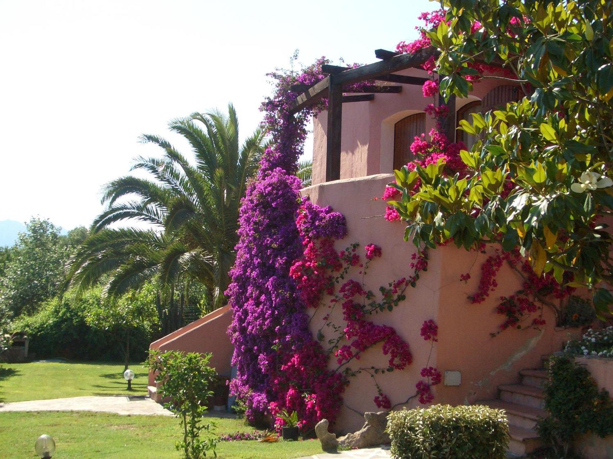 Bed & Breakfast Dessole Olbia Exterior foto
